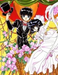 Đội thám tử Học viện Clamp – Ngoại truyện Akira