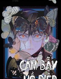 Cạm Bẫy Hồ Điệp