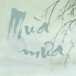 Mùa Mưa – Chung Hiểu Sinh