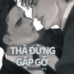 Thà Đừng Gặp Gỡ (Đam Mỹ)